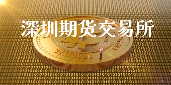 深圳期货交易所_https://www.iteshow.com_期货交易_第2张