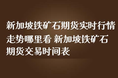 新加坡铁矿石期货实时行情走势哪里看 新加坡铁矿石期货交易时间表_https://www.iteshow.com_原油期货_第2张