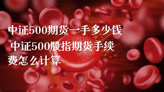 中证500期货一手多少钱 中证500股指期货手续费怎么计算_https://www.iteshow.com_商品期货_第2张