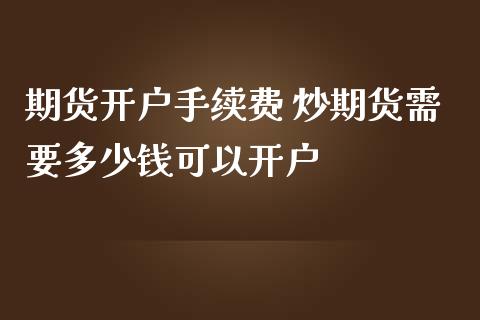 期货开户手续费 炒期货需要多少钱可以开户_https://www.iteshow.com_期货公司_第2张