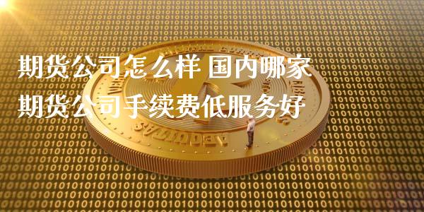 期货公司怎么样 国内哪家期货公司手续费低服务好_https://www.iteshow.com_期货百科_第2张