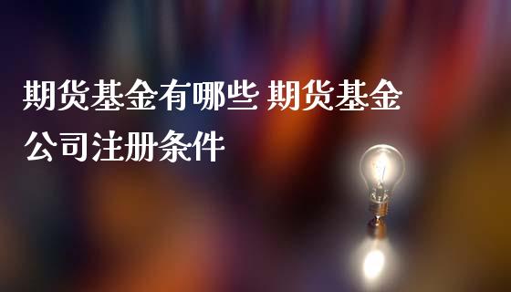 期货基金有哪些 期货基金公司注册条件_https://www.iteshow.com_黄金期货_第2张