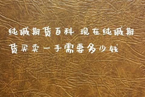 纯碱期货百科 现在纯碱期货买卖一手需要多少钱_https://www.iteshow.com_商品期权_第2张