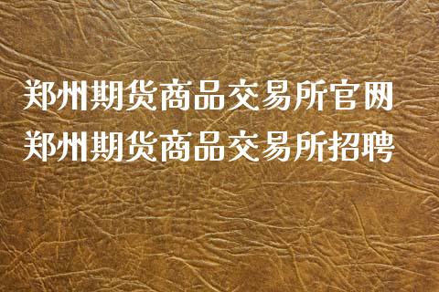 郑州期货商品交易所官网 郑州期货商品交易所招聘_https://www.iteshow.com_股指期货_第2张