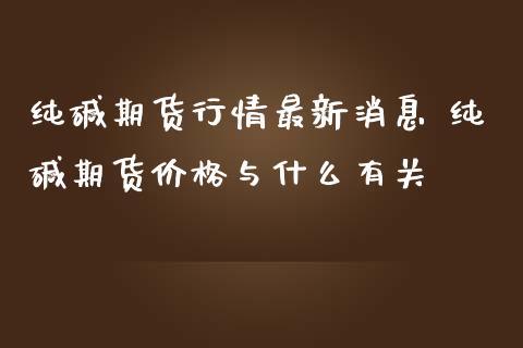 纯碱期货行情最新消息 纯碱期货价格与什么有关_https://www.iteshow.com_期货公司_第2张