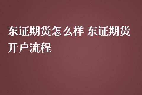 东证期货怎么样 东证期货开户流程_https://www.iteshow.com_期货百科_第2张