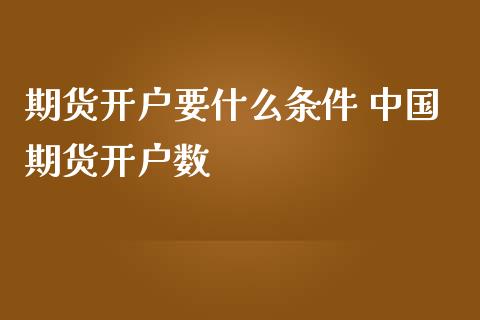 期货开户要什么条件 中国期货开户数_https://www.iteshow.com_商品期货_第2张