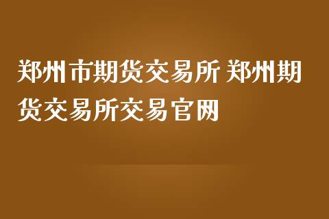 郑州市期货交易所 郑州期货交易所交易官网_https://www.iteshow.com_股指期货_第2张