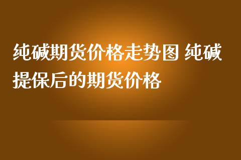 纯碱期货价格走势图 纯碱提保后的期货价格_https://www.iteshow.com_期货手续费_第2张