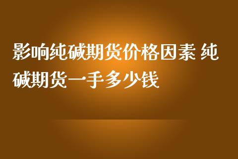 影响纯碱期货价格因素 纯碱期货一手多少钱_https://www.iteshow.com_股指期货_第2张