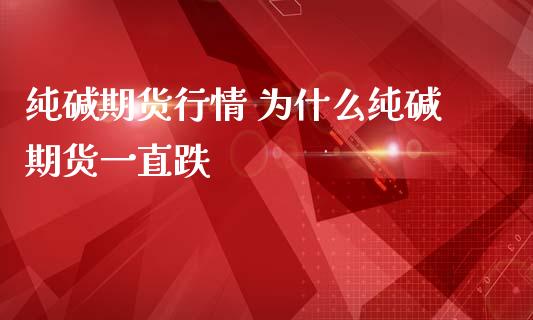 纯碱期货行情 为什么纯碱期货一直跌_https://www.iteshow.com_股指期货_第2张