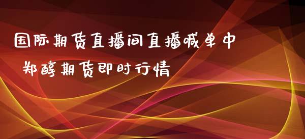 国际期货直播间直播喊单中 郑醇期货即时行情_https://www.iteshow.com_商品期货_第2张