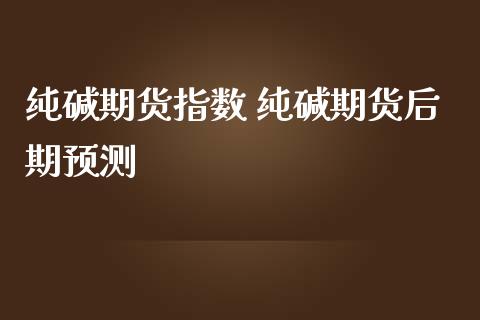 纯碱期货指数 纯碱期货后期预测_https://www.iteshow.com_期货知识_第2张