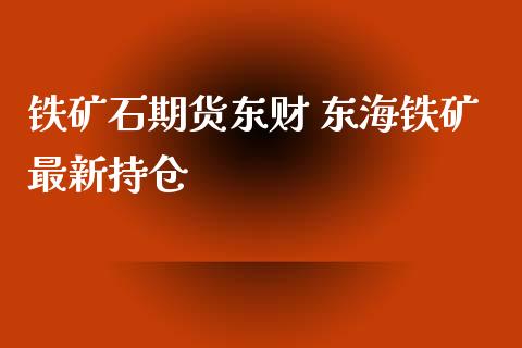 铁矿石期货东财 东海铁矿最新持仓_https://www.iteshow.com_期货手续费_第2张