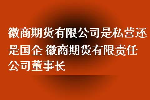 徽商期货有限公司是私营还是国企 徽商期货有限责任公司董事长_https://www.iteshow.com_期货品种_第2张