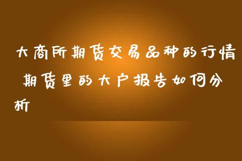 大商所期货交易品种的行情 期货里的大户报告如何分析_https://www.iteshow.com_期货百科_第2张