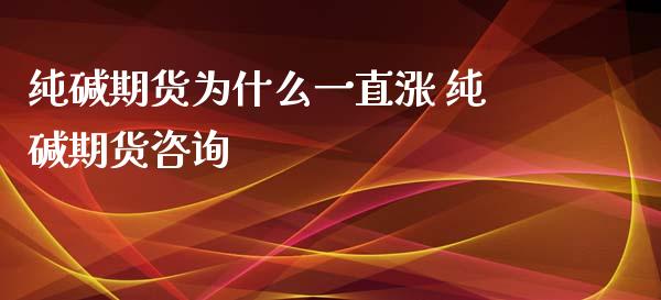 纯碱期货为什么一直涨 纯碱期货咨询_https://www.iteshow.com_商品期货_第2张