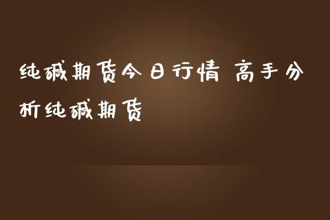 纯碱期货今日行情 高手分析纯碱期货_https://www.iteshow.com_原油期货_第2张