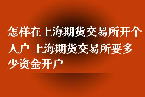 怎样在上海期货交易所开个人户 上海期货交易所要多少资金开户_https://www.iteshow.com_商品期货_第2张