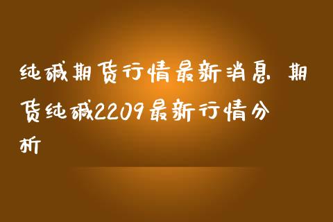 纯碱期货行情最新消息 期货纯碱2209最新行情分析_https://www.iteshow.com_期货交易_第2张