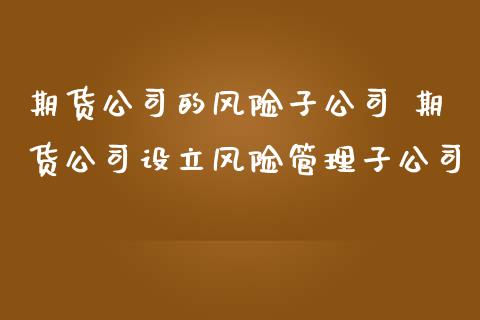 期货公司的风险子公司 期货公司设立风险管理子公司_https://www.iteshow.com_股指期货_第2张