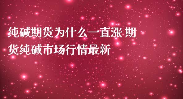 纯碱期货为什么一直涨 期货纯碱市场行情最新_https://www.iteshow.com_商品期货_第2张