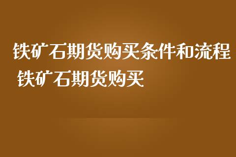 铁矿石期货购买条件和流程 铁矿石期货购买_https://www.iteshow.com_期货开户_第2张