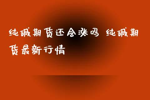 纯碱期货还会涨吗 纯碱期货最新行情_https://www.iteshow.com_股指期货_第2张