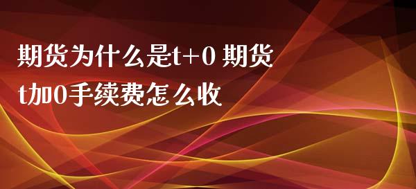 期货为什么是t+0 期货t加0手续费怎么收_https://www.iteshow.com_期货交易_第2张