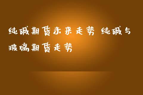 纯碱期货未来走势 纯碱与玻璃期货走势_https://www.iteshow.com_期货品种_第2张