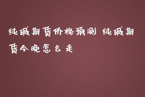 纯碱期货价格预测 纯碱期货今晚怎么走_https://www.iteshow.com_期货百科_第2张