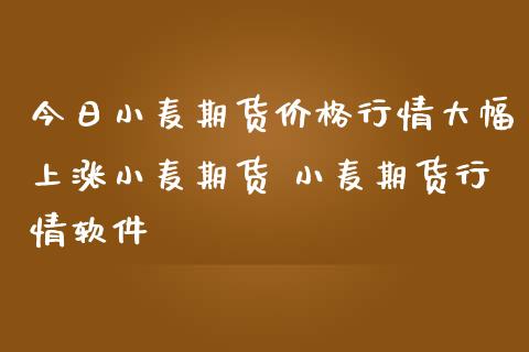 今日小麦期货价格行情大幅上涨小麦期货 小麦期货行情软件_https://www.iteshow.com_期货交易_第2张