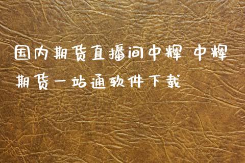 国内期货直播间中辉 中辉期货一站通软件下载_https://www.iteshow.com_股指期货_第2张