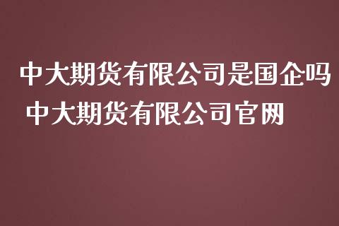 中大期货有限公司是国企吗 中大期货有限公司官网_https://www.iteshow.com_商品期权_第2张