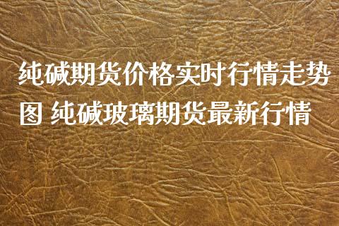 纯碱期货价格实时行情走势图 纯碱玻璃期货最新行情_https://www.iteshow.com_股指期权_第2张