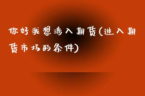 你好我想涉入期货(进入期货市场的条件)_https://www.iteshow.com_期货开户_第1张