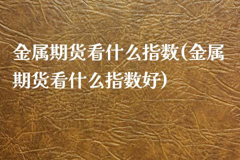 金属期货看什么指数(金属期货看什么指数好)_https://www.iteshow.com_期货手续费_第1张