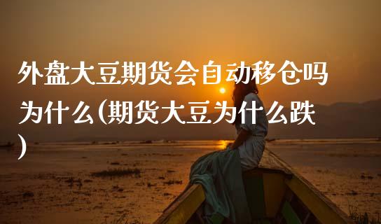 外盘大豆期货会自动移仓吗为什么(期货大豆为什么跌)_https://www.iteshow.com_黄金期货_第1张