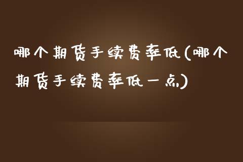 哪个期货手续费率低(哪个期货手续费率低一点)_https://www.iteshow.com_期货手续费_第1张