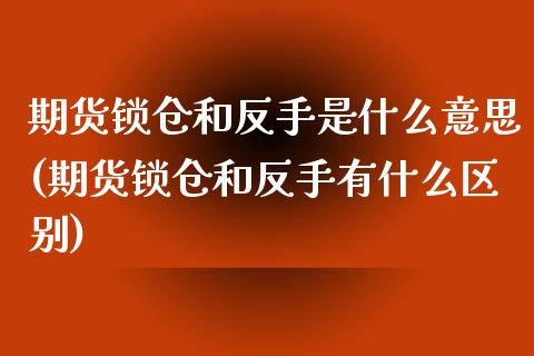 期货锁仓和反手是什么意思(期货锁仓和反手有什么区别)_https://www.iteshow.com_商品期货_第1张