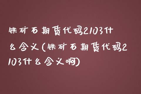 铁矿石期货代码2103什么含义(铁矿石期货代码2103什么含义啊)_https://www.iteshow.com_期货百科_第1张