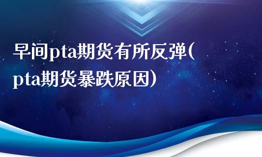 早间pta期货有所反弹(pta期货暴跌原因)_https://www.iteshow.com_期货开户_第1张