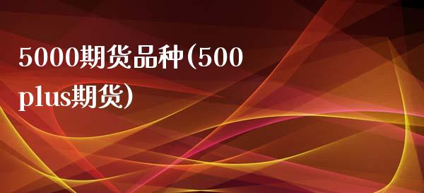 5000期货品种(500plus期货)_https://www.iteshow.com_期货公司_第1张