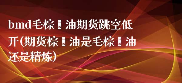 bmd毛棕榈油期货跳空低开(期货棕榈油是毛棕榈油还是精炼)_https://www.iteshow.com_股指期权_第1张