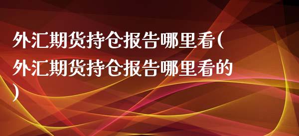 外汇期货持仓报告哪里看(外汇期货持仓报告哪里看的)_https://www.iteshow.com_期货开户_第1张