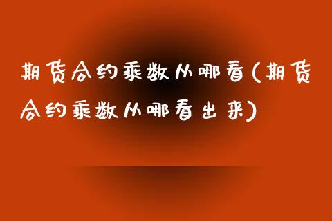 期货合约乘数从哪看(期货合约乘数从哪看出来)_https://www.iteshow.com_期货百科_第1张