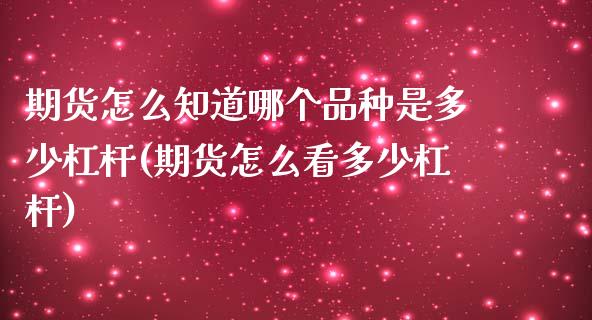 期货怎么知道哪个品种是多少杠杆(期货怎么看多少杠杆)_https://www.iteshow.com_期货知识_第1张