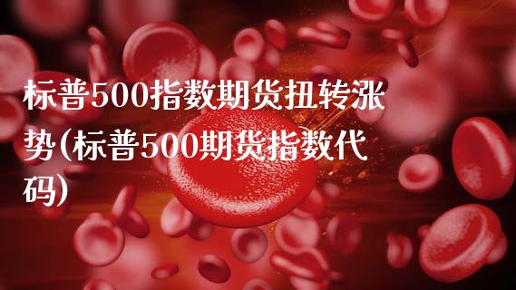 标普500指数期货扭转涨势(标普500期货指数代码)_https://www.iteshow.com_期货品种_第1张