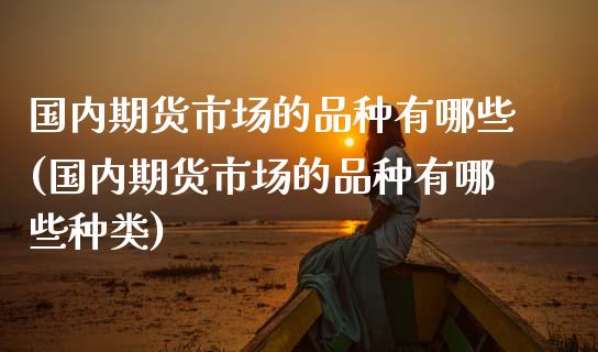 国内期货市场的品种有哪些(国内期货市场的品种有哪些种类)_https://www.iteshow.com_股指期货_第1张