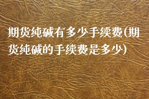 期货纯碱有多少手续费(期货纯碱的手续费是多少)_https://www.iteshow.com_期货知识_第1张